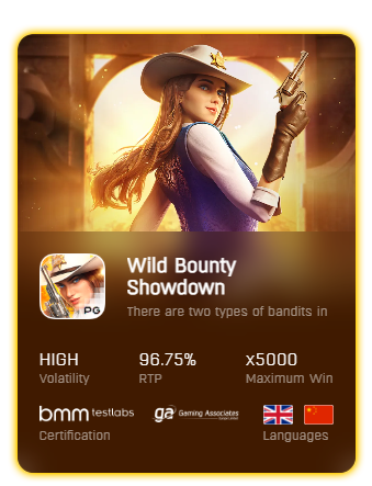 คาวบอย เกมใหม่3